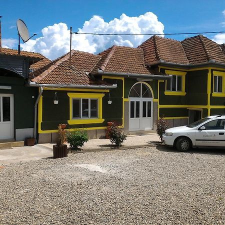 Ferienwohnung Casa Ana Haţeg Exterior foto